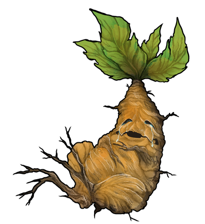 Child Mandrake final